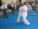 Técnica de judo para niños