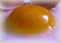 Champú anticaspa de huevo