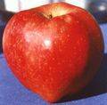 Licuado de manzana contra el colesterol alto