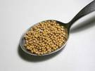 Semillas o granos de mostaza