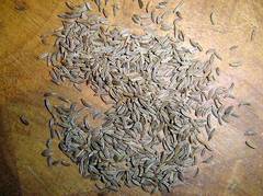 semillas de alcaravea