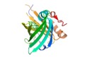 Estructura química  de las proteínas