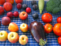 Frutos y vegetales