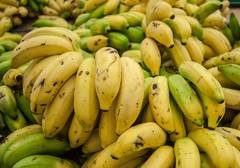 Platano Banana