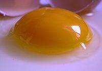 Propiedades del huevo para aumentar el colesterol HDL