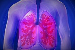 Imagen de pulmones 2