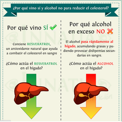 Infografía sobre el vino tinto