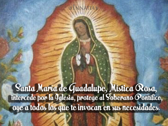 Frases e imágenes de la Virgen de Guadalupe con frases para descargar -  
