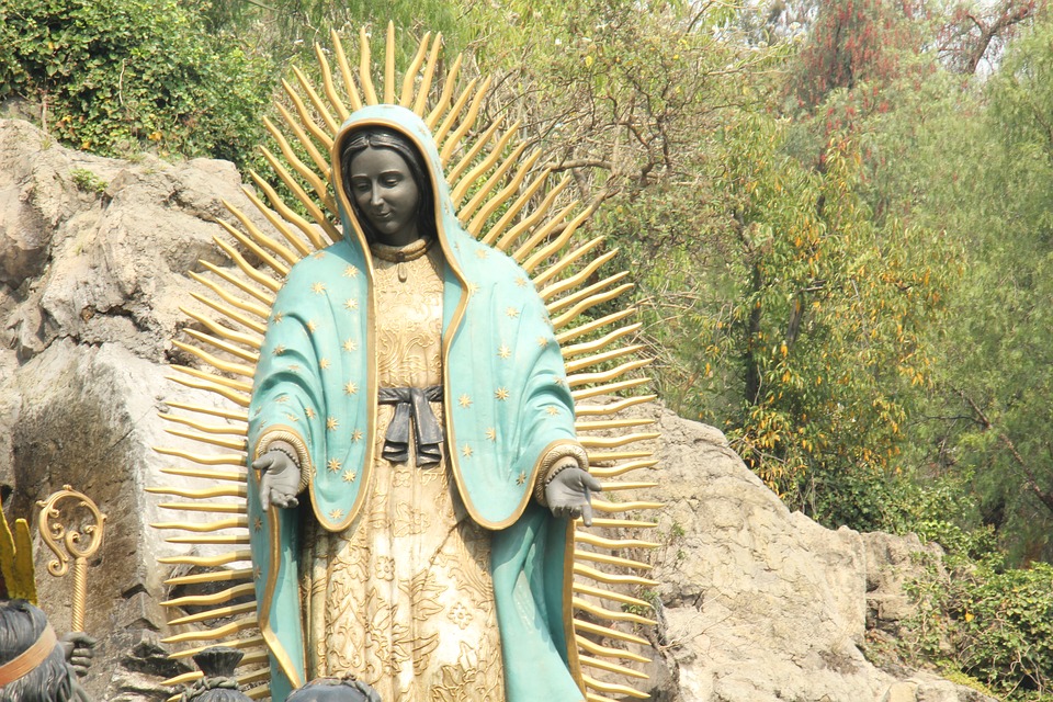 Frases e imágenes de la Virgen de Guadalupe con frases para descargar -  